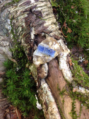 Appalachian Blue Kyanite Elixir - Image 3